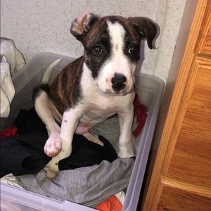 Meet your Posher, Seth